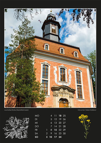 Wandkalender "Sächsische Weinstraße" 2022